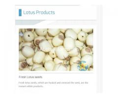 Lotus Product